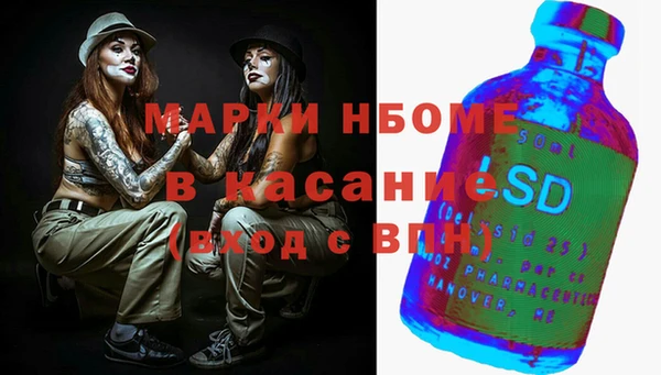 ECSTASY Сосновка