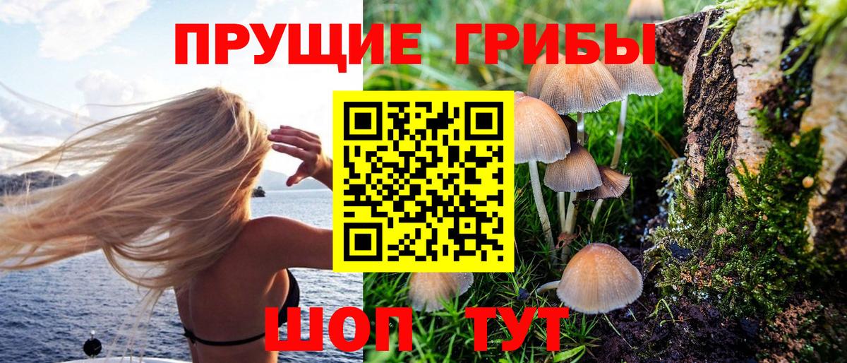Псилоцибиновые грибы мухоморы Белово