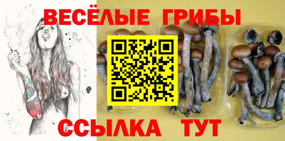 Галлюциногенные грибы ЛСД  Белово  Галлюциногенные грибы MAGIC MUSHROOMS 