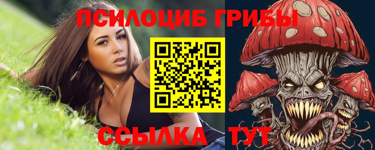 Галлюциногенные грибы ЛСД  Вход с VPN  Галлюциногенные грибы Psilocybine cubensis  Белово 